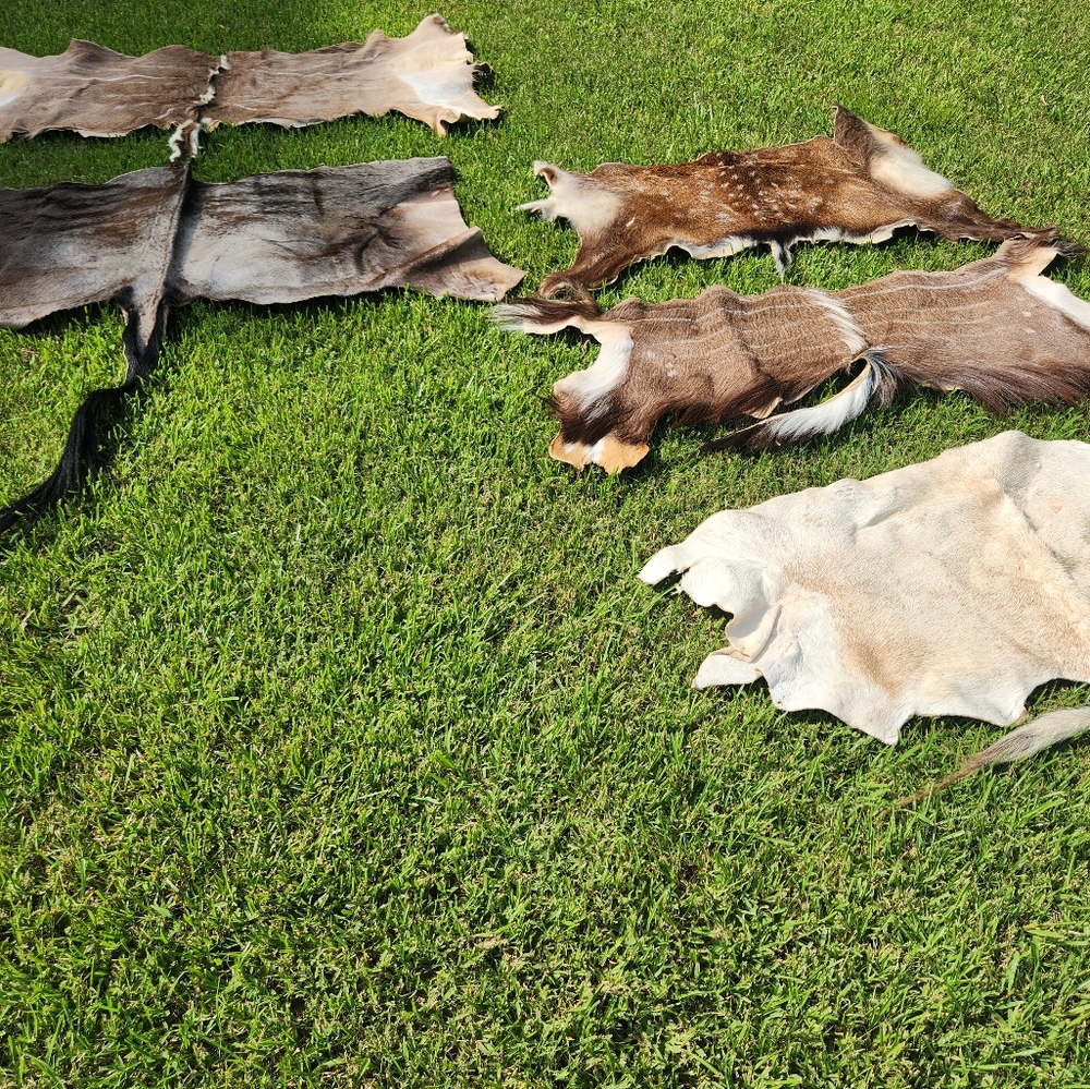 African hides, various